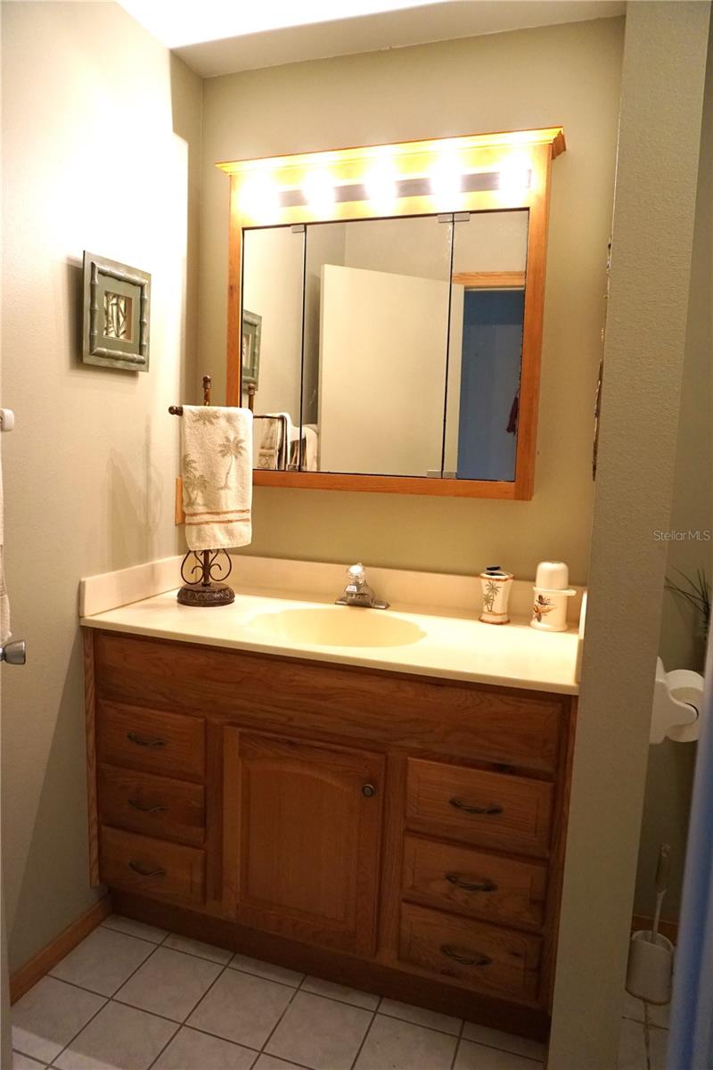 Hall bath vanity