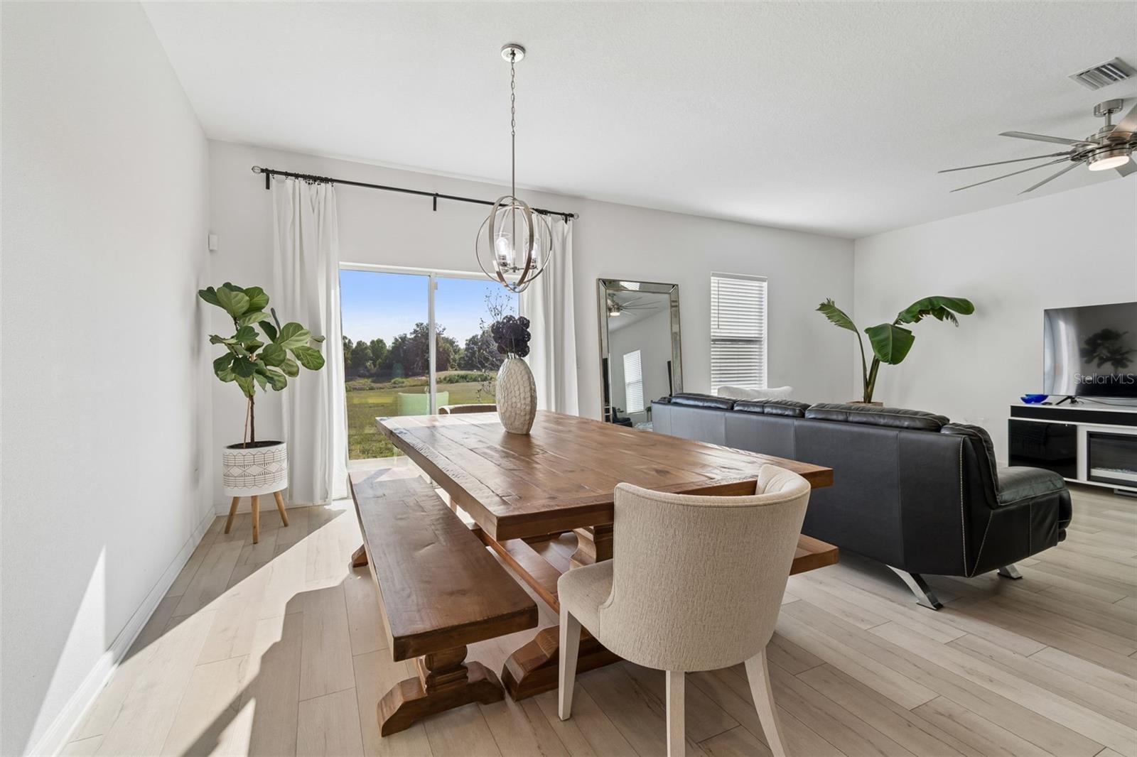 Dining/Living area