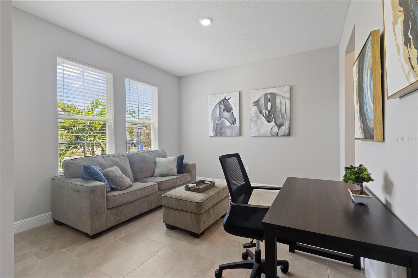 Living Room/Flex Room