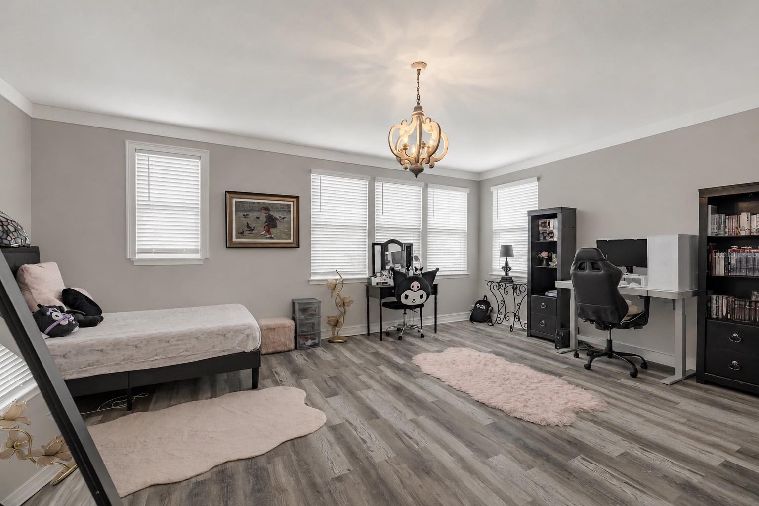 Bonus Room / Media room