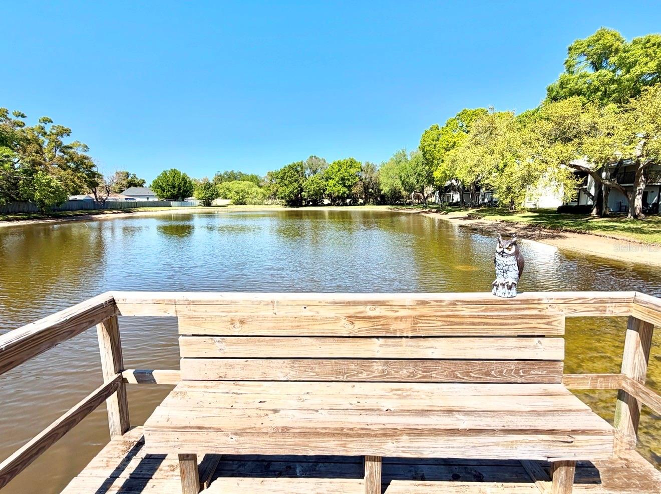 This shows one side of the lake from the dock.