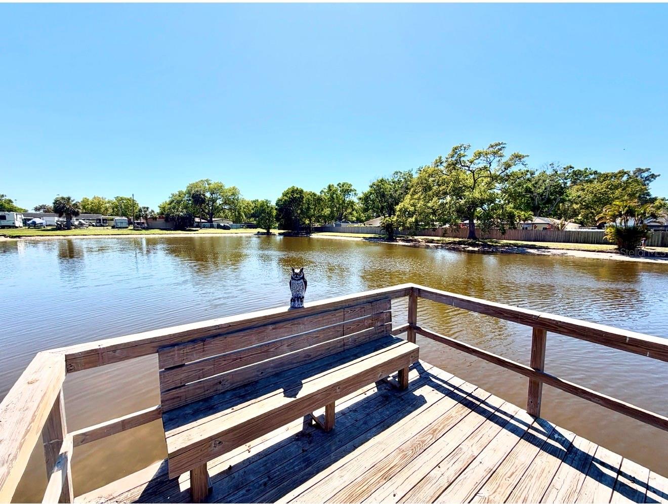 This shows the other side of the lake from the dock.