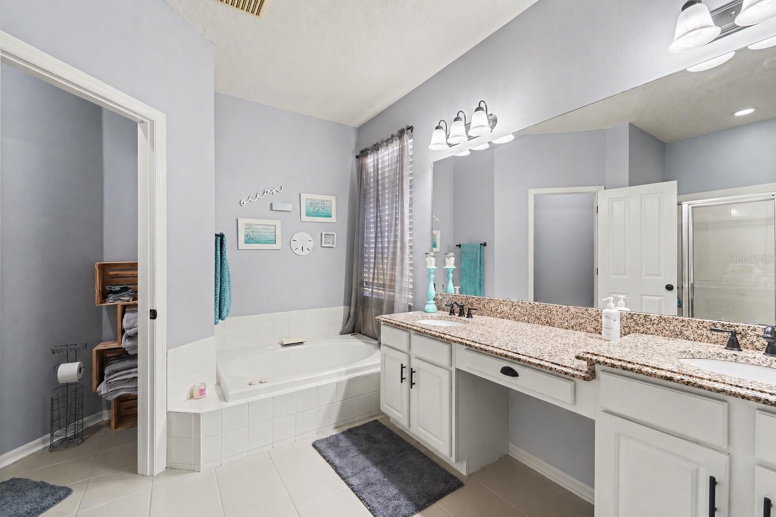 19717 Wyndham Lakes Drive, Odessa FL - Primary Bathroom