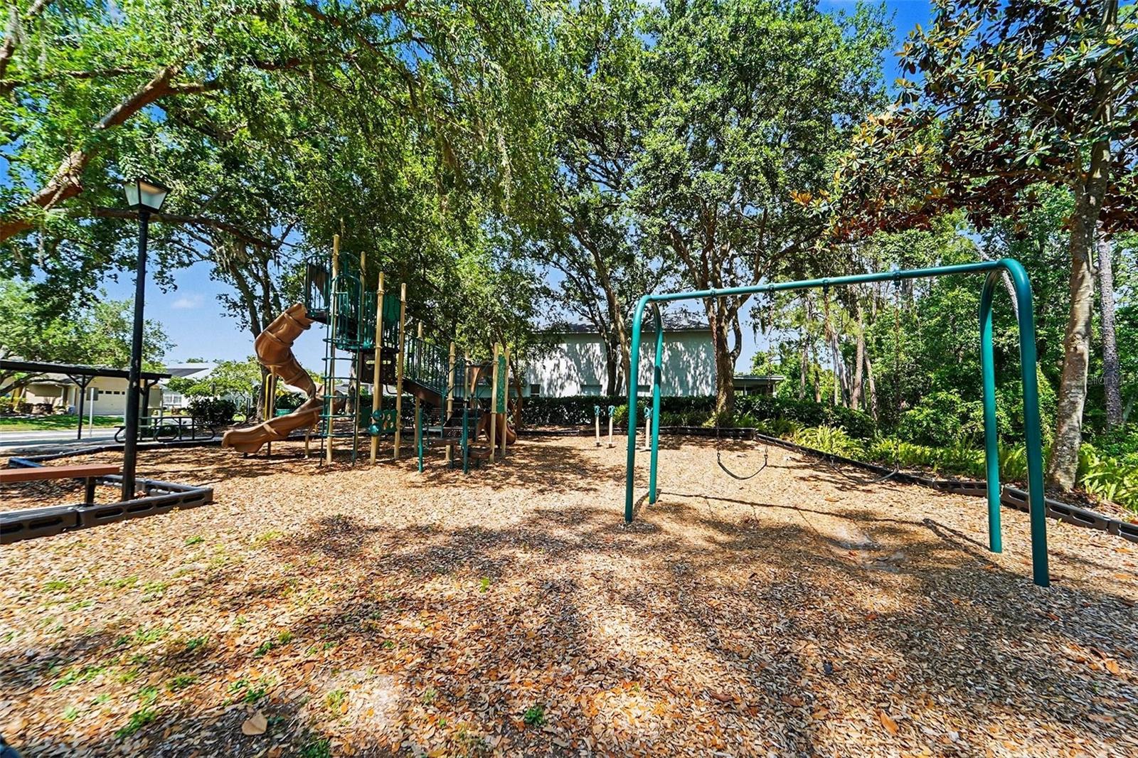 19717 Wyndham Lakes Drive, Odessa FL - Community Photos wyndham Lakes Odessa
