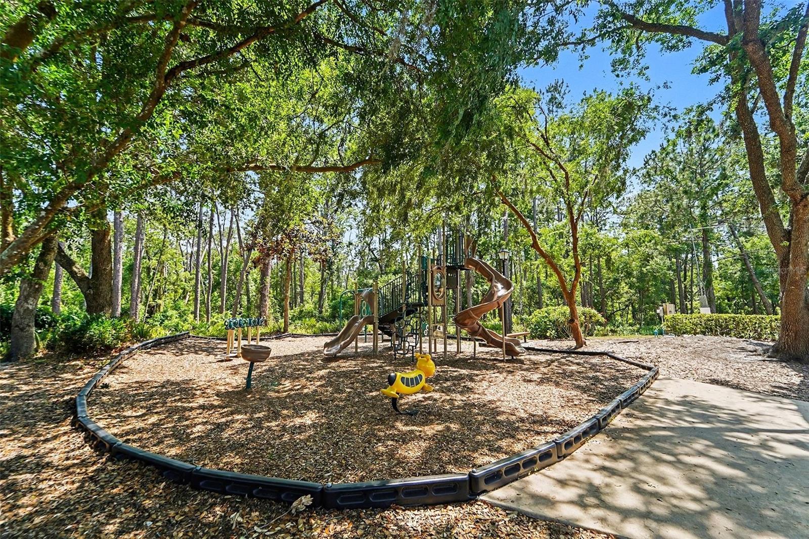 19717 Wyndham Lakes Drive, Odessa FL - Community Photos wyndham Lakes Odessa