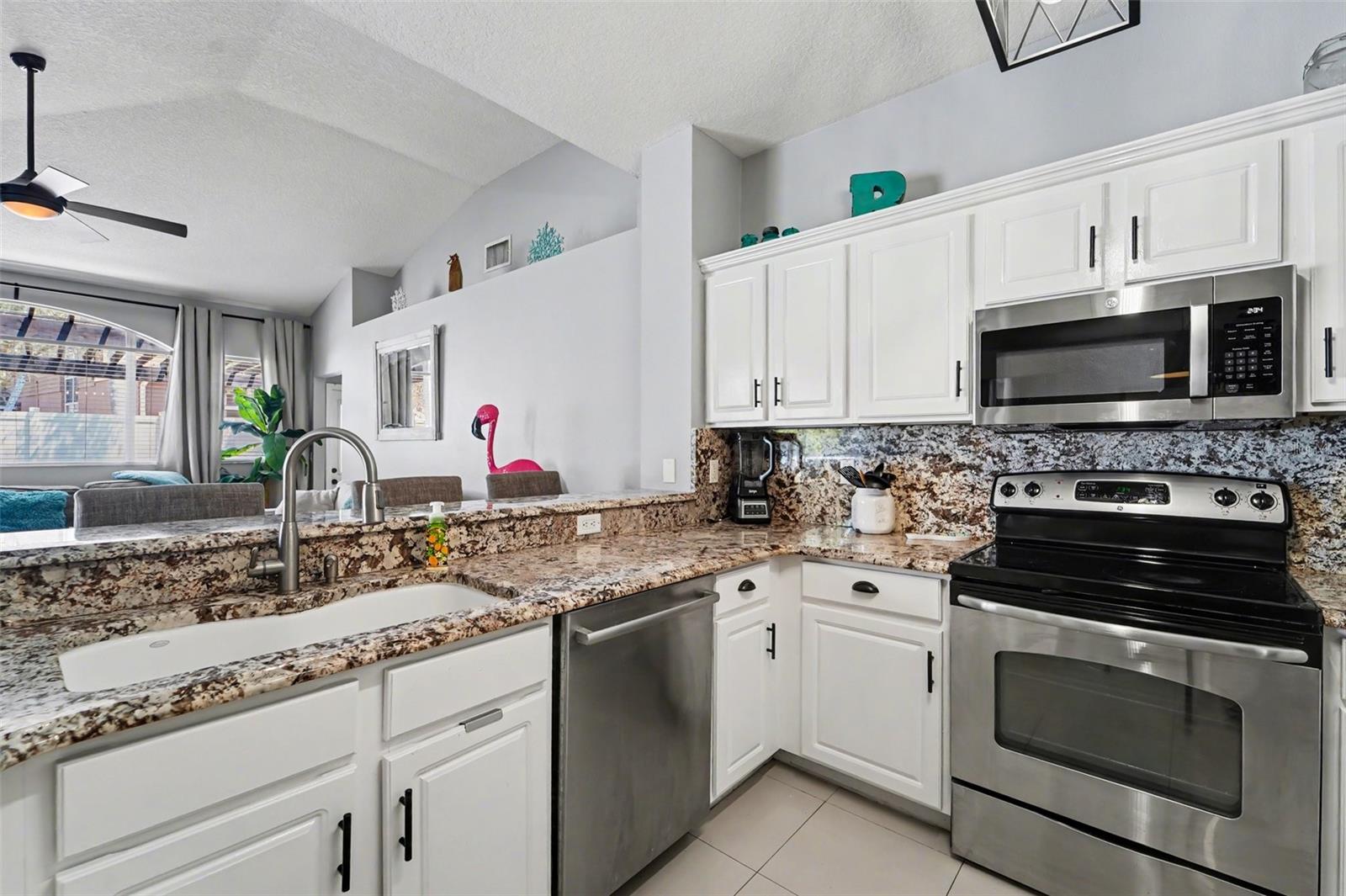 19717 Wyndham Lakes Drive, Odessa FL - Kitchen