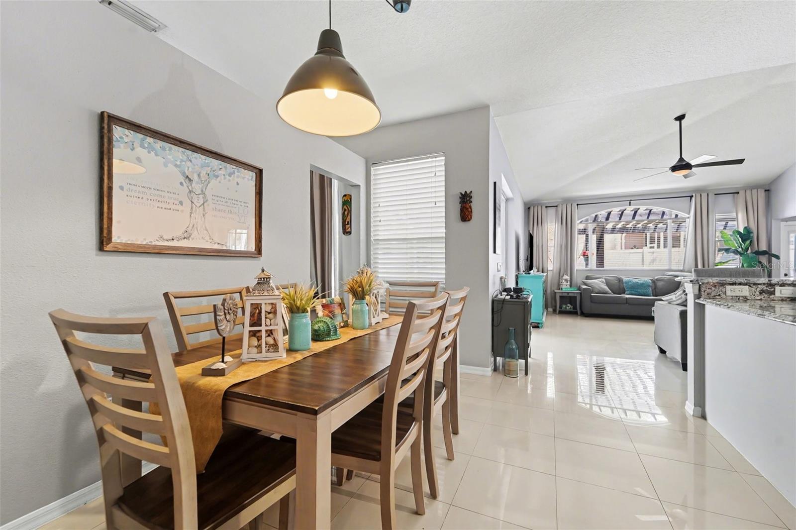 19717 Wyndham Lakes Drive, Odessa FL - Dinette