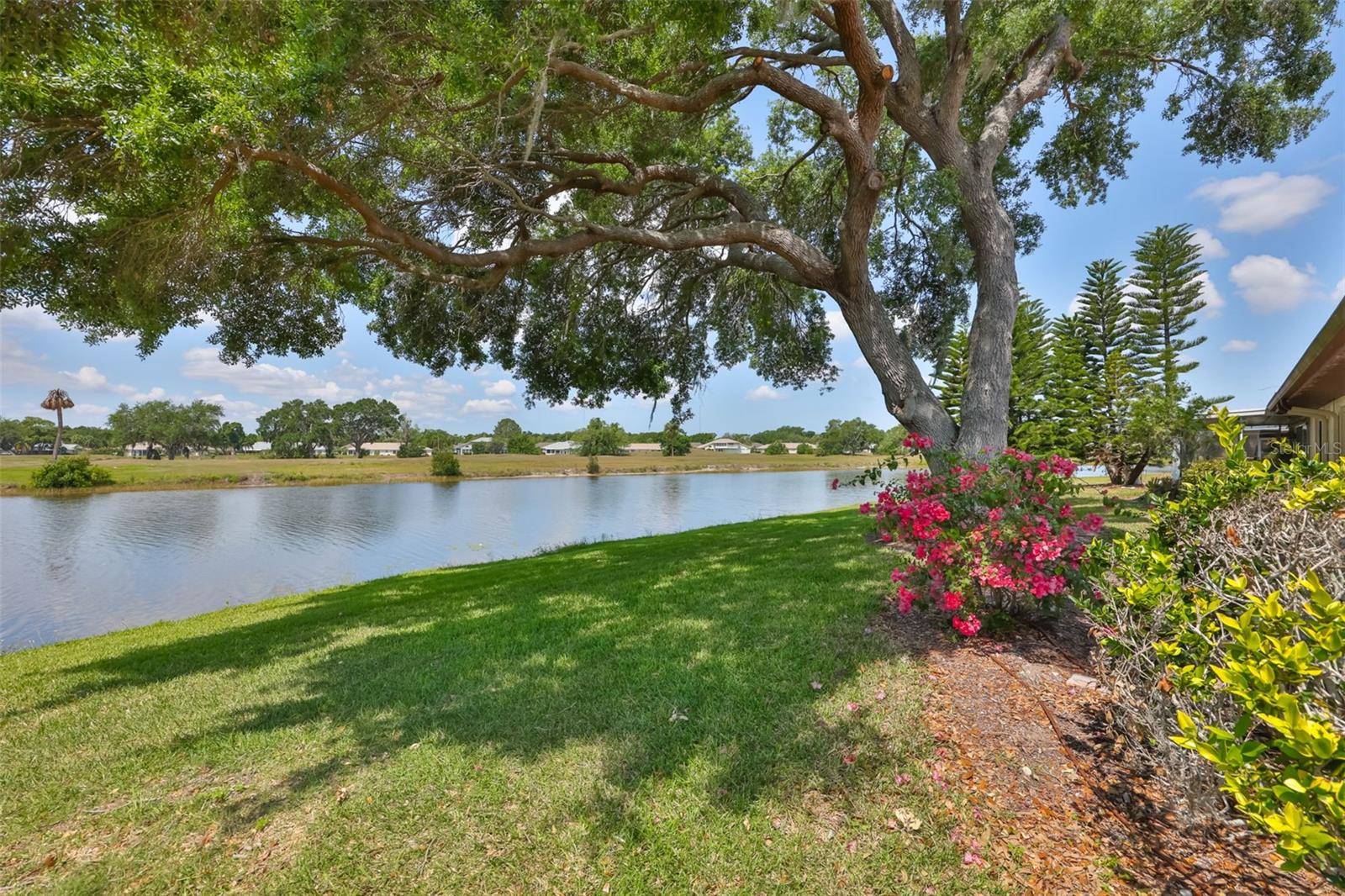 Beautiful water view
