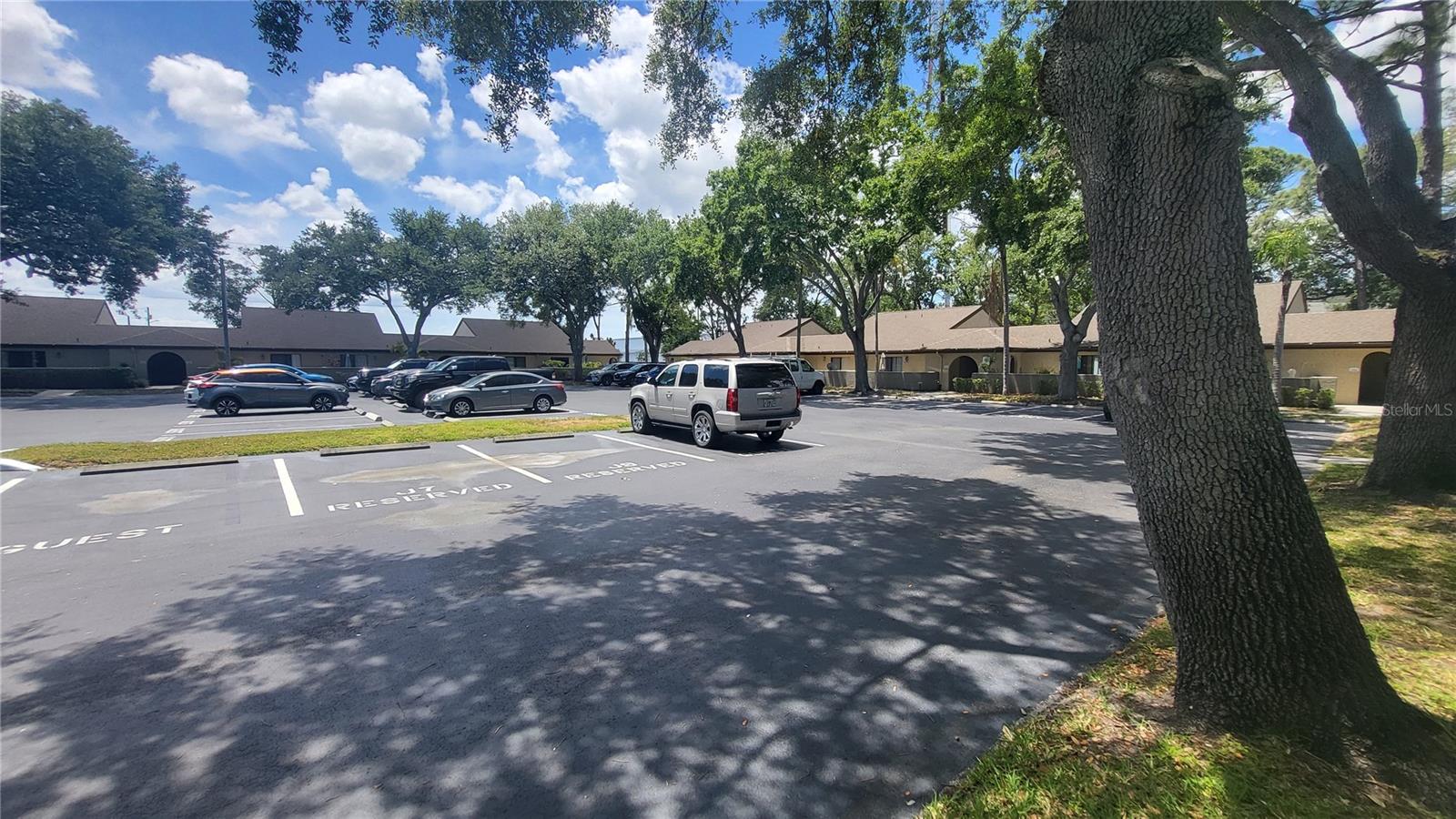 Mature Oaks with Ample Parking Available