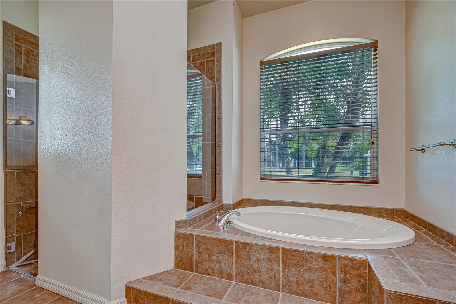 Tub and Walk-in Tiled Shower