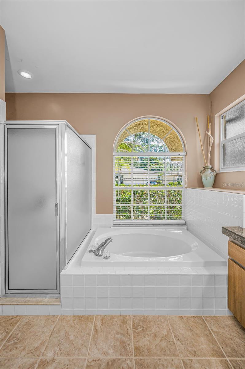 Garden Tub & Separate Shower