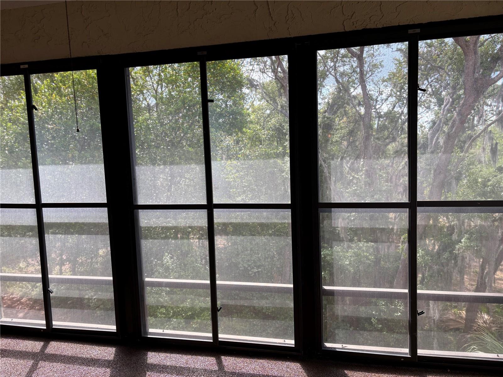 Lanai Wilderness Views