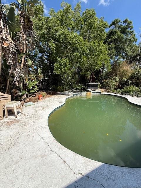Pool with Oversize Lot
