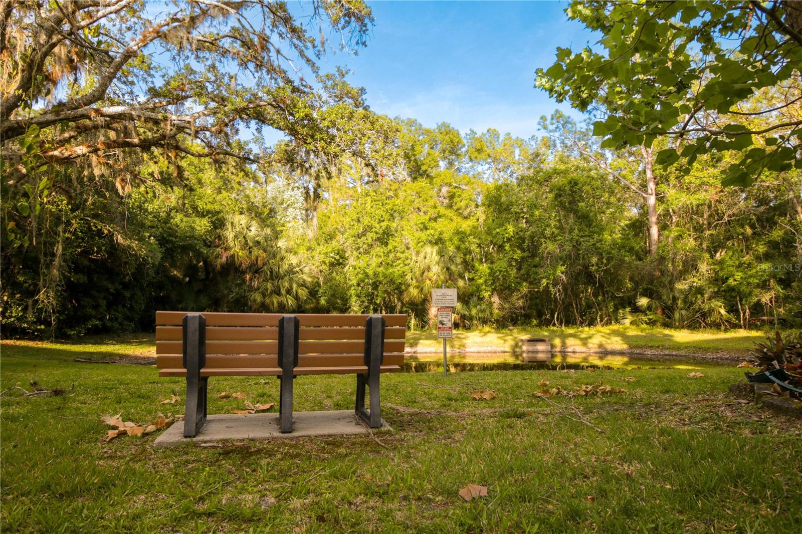 Park Bench on Pond