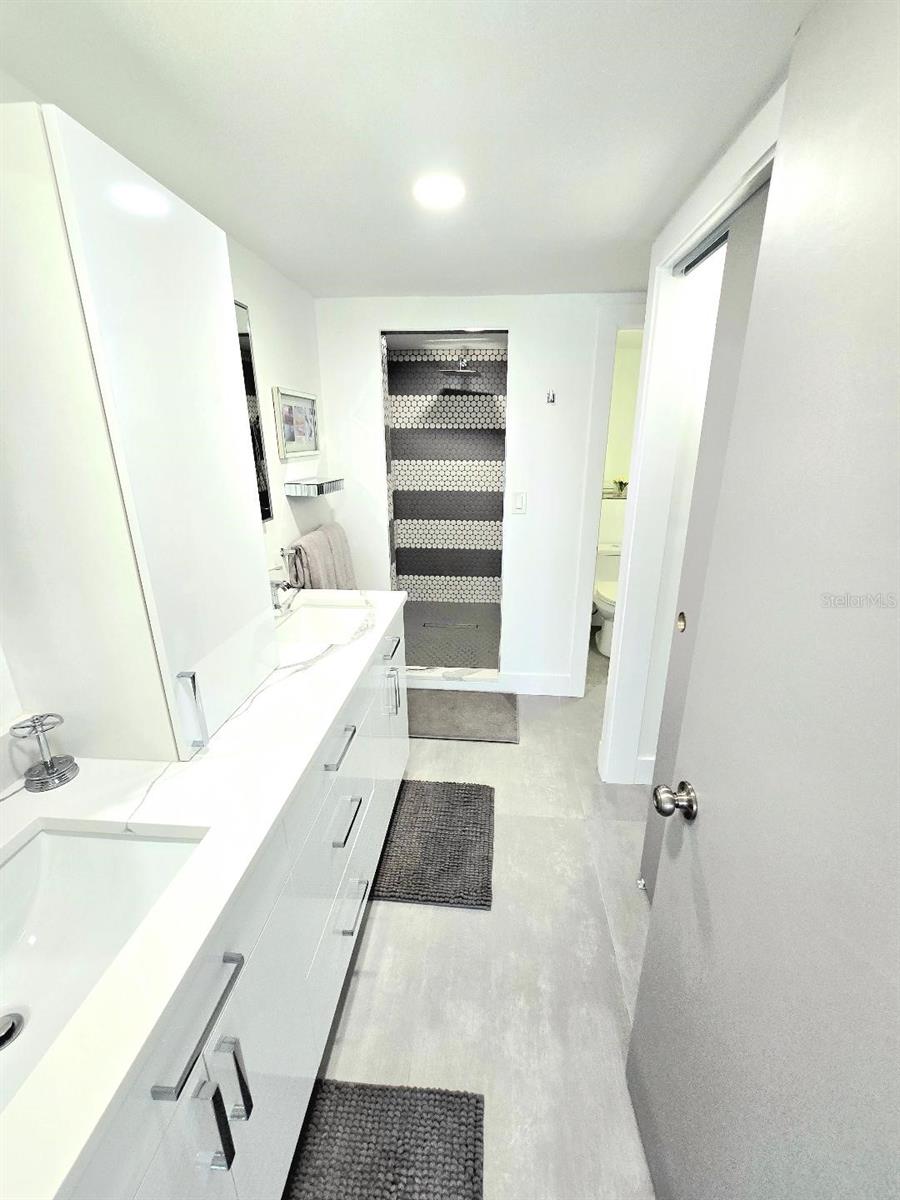 Master bath, lots of space and storage.