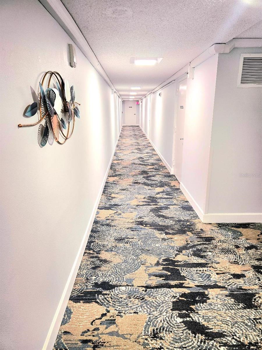 All newly decorated hallways.