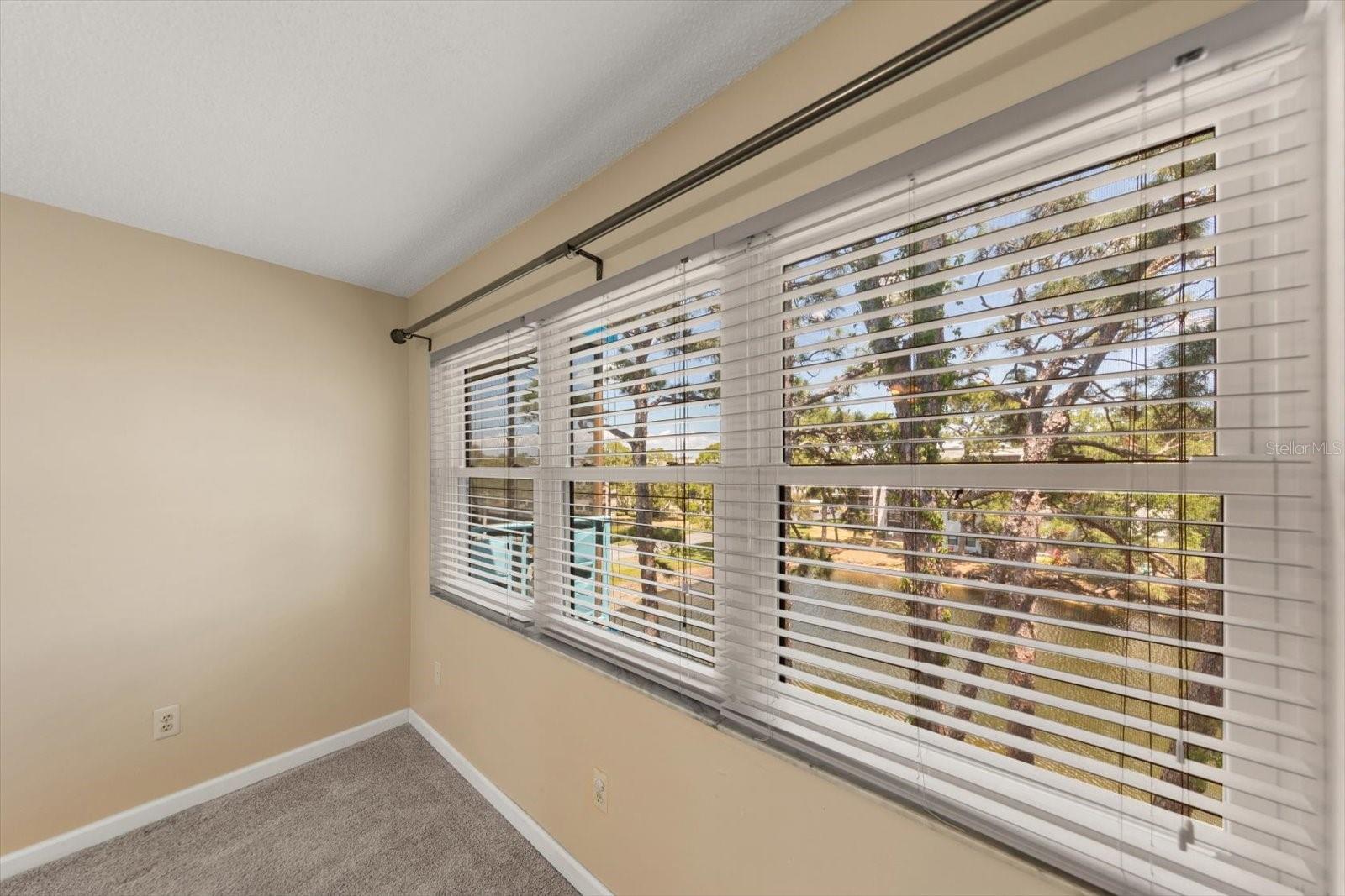 Big picture window in the master of the pond