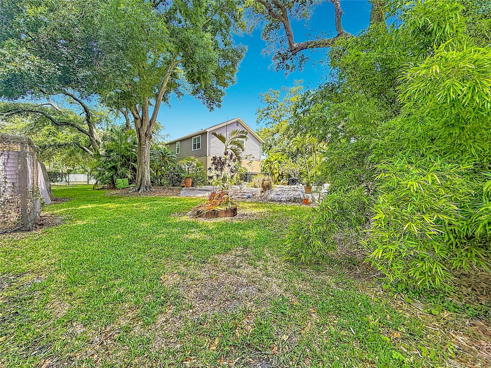 Back Yard