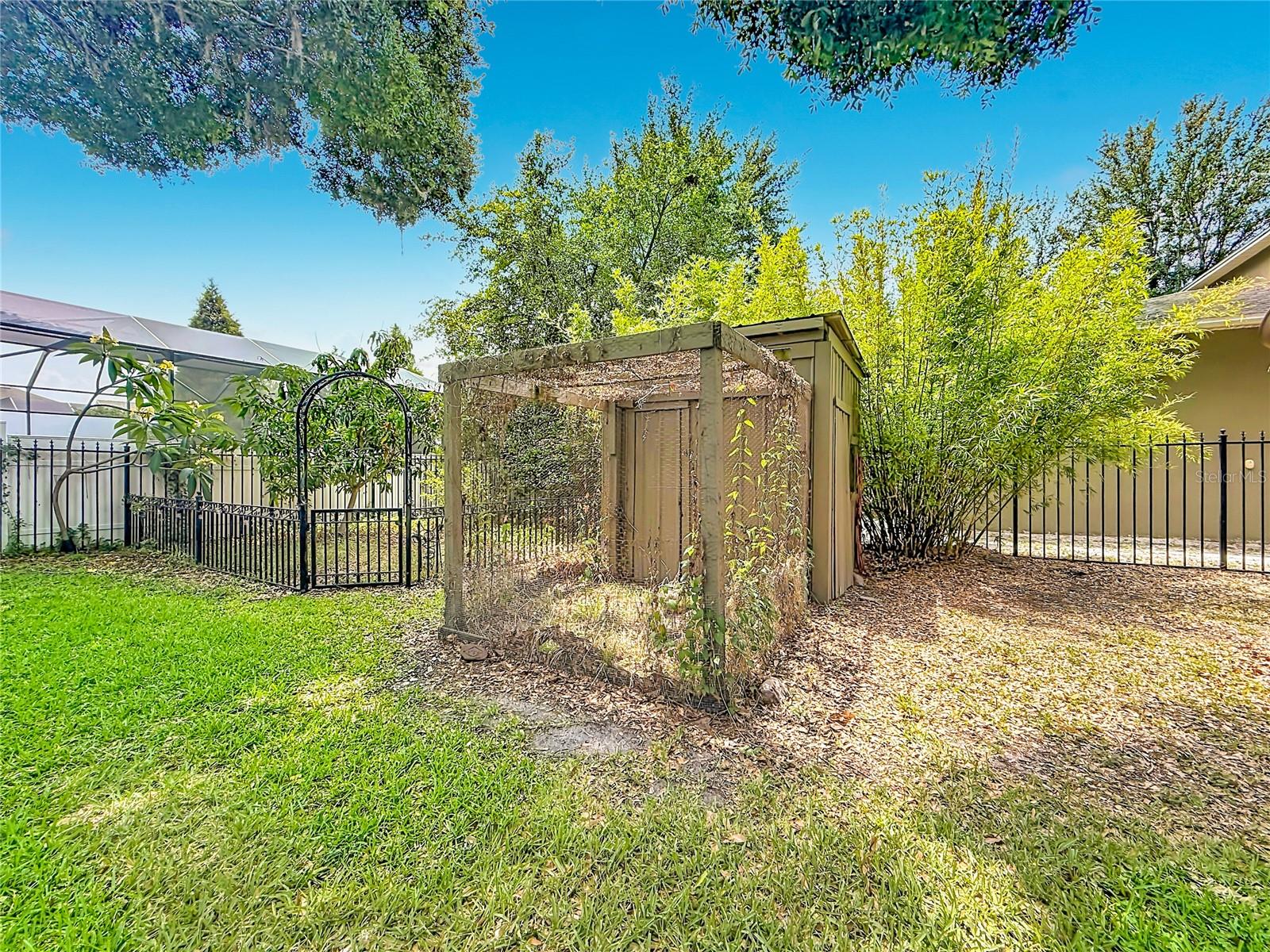 Back Yard