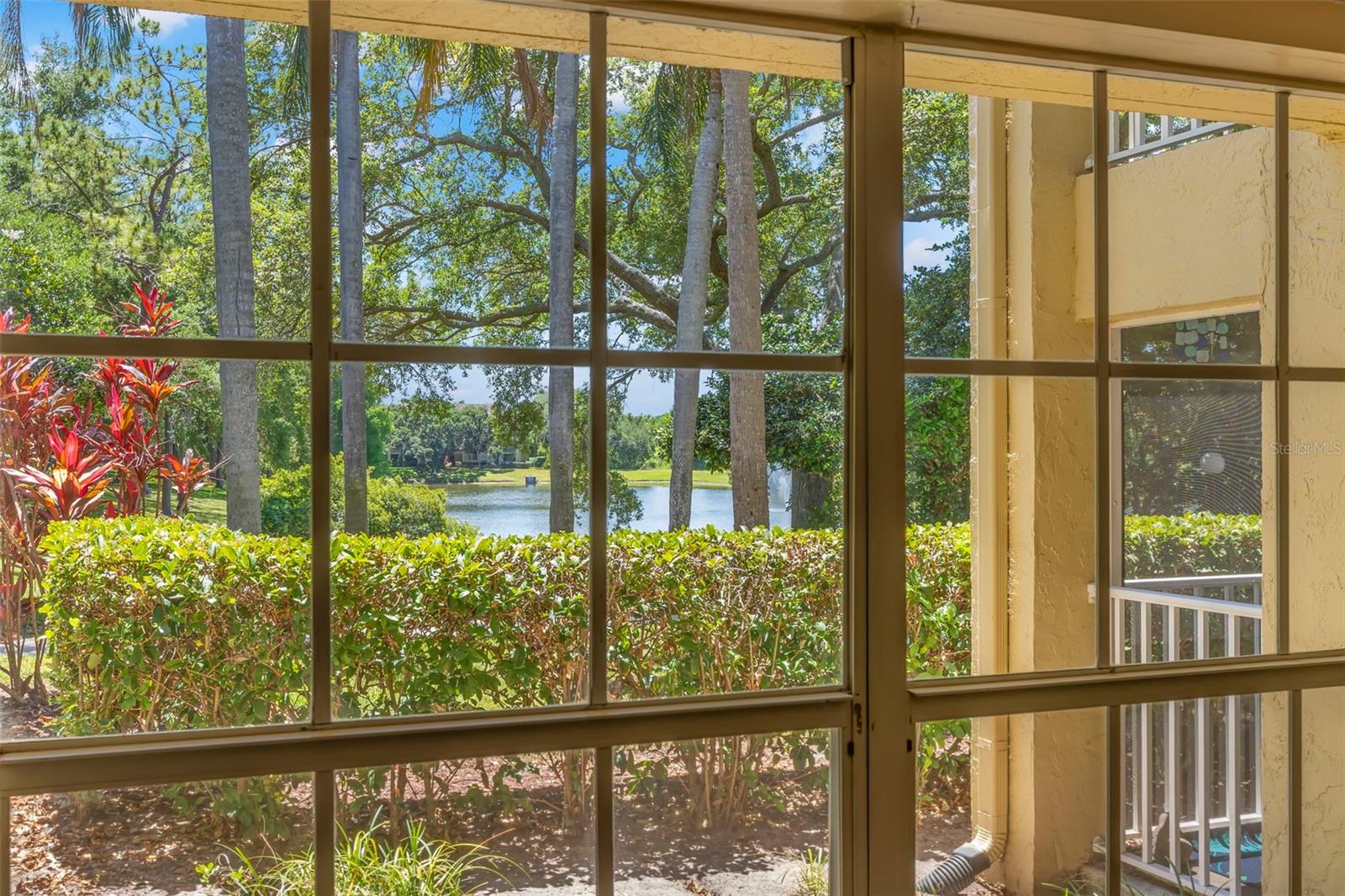 Front window