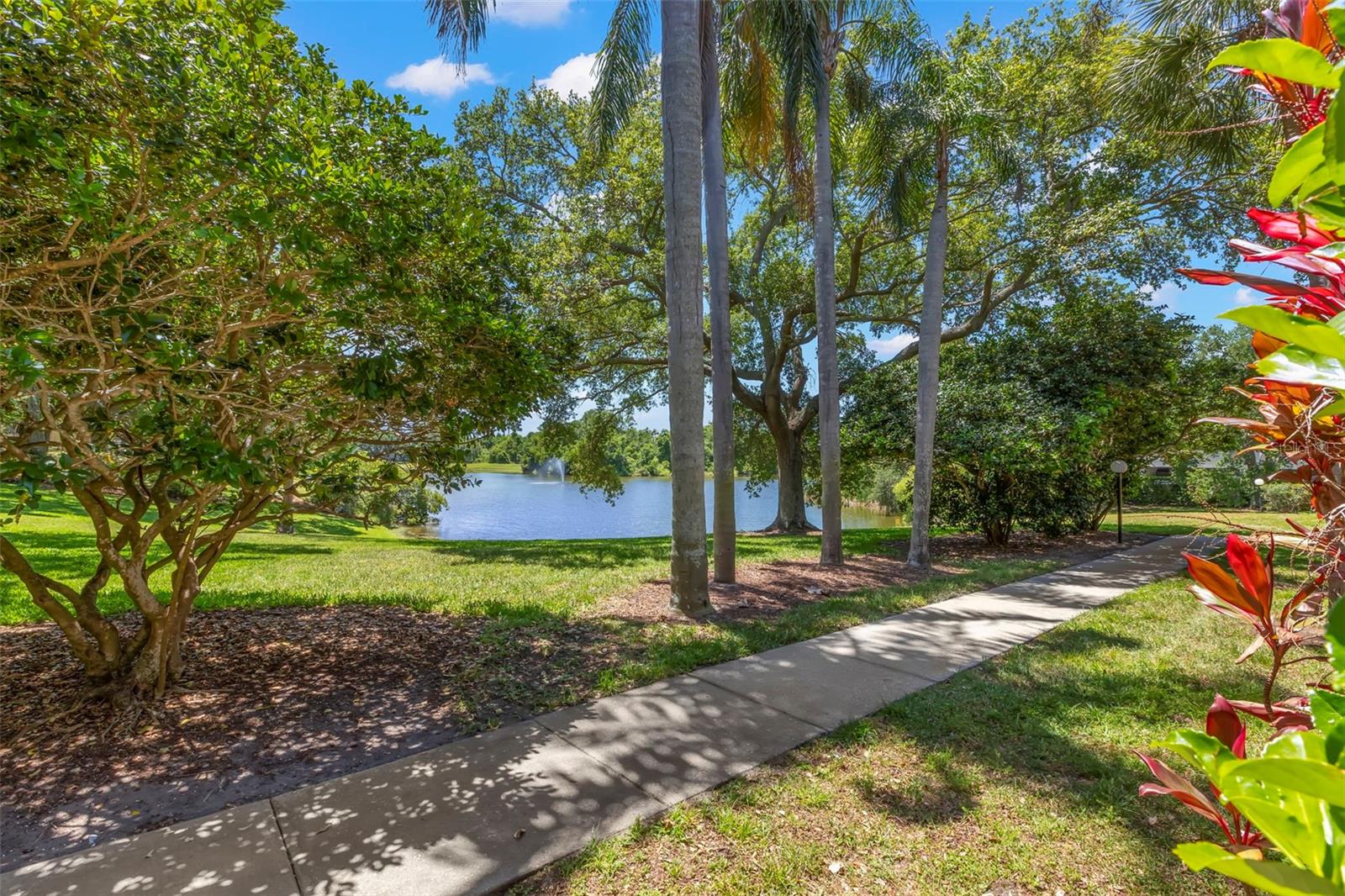 view from walkway from front door