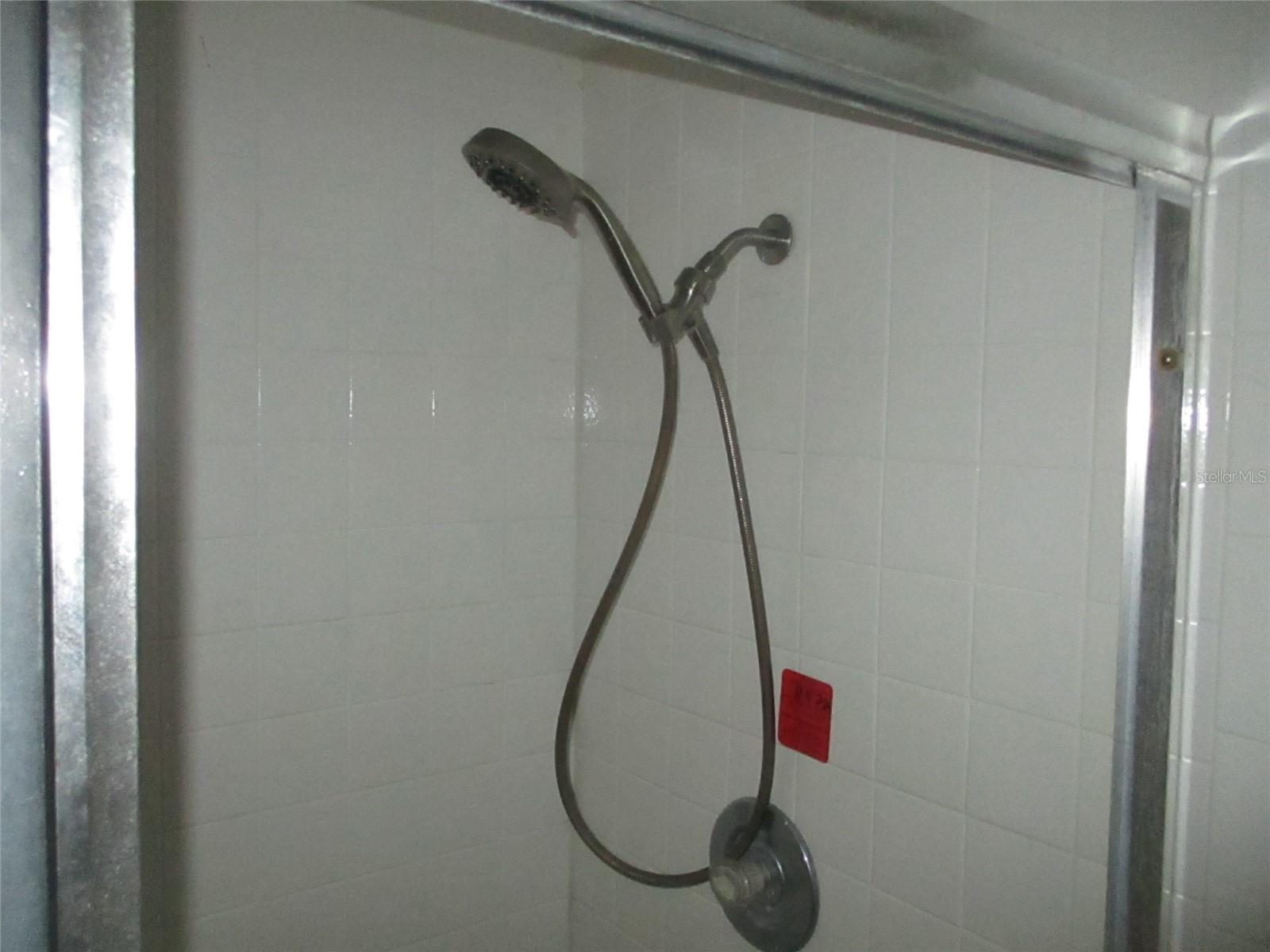 Master shower