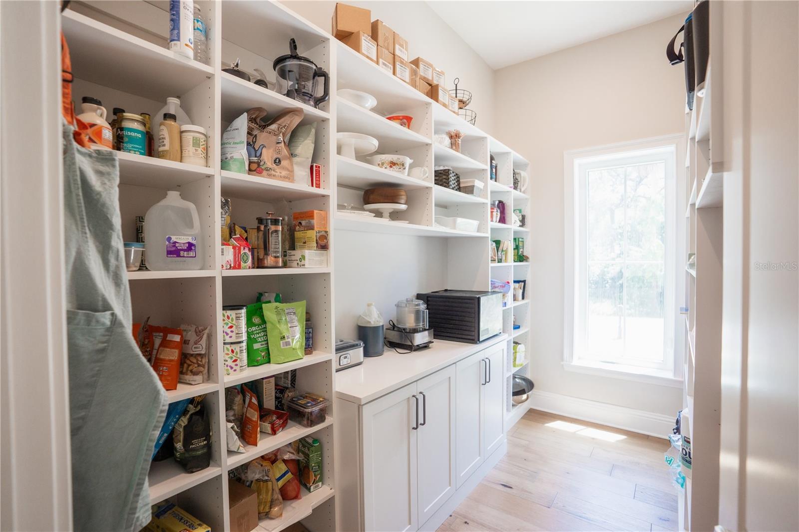 Walk in Pantry