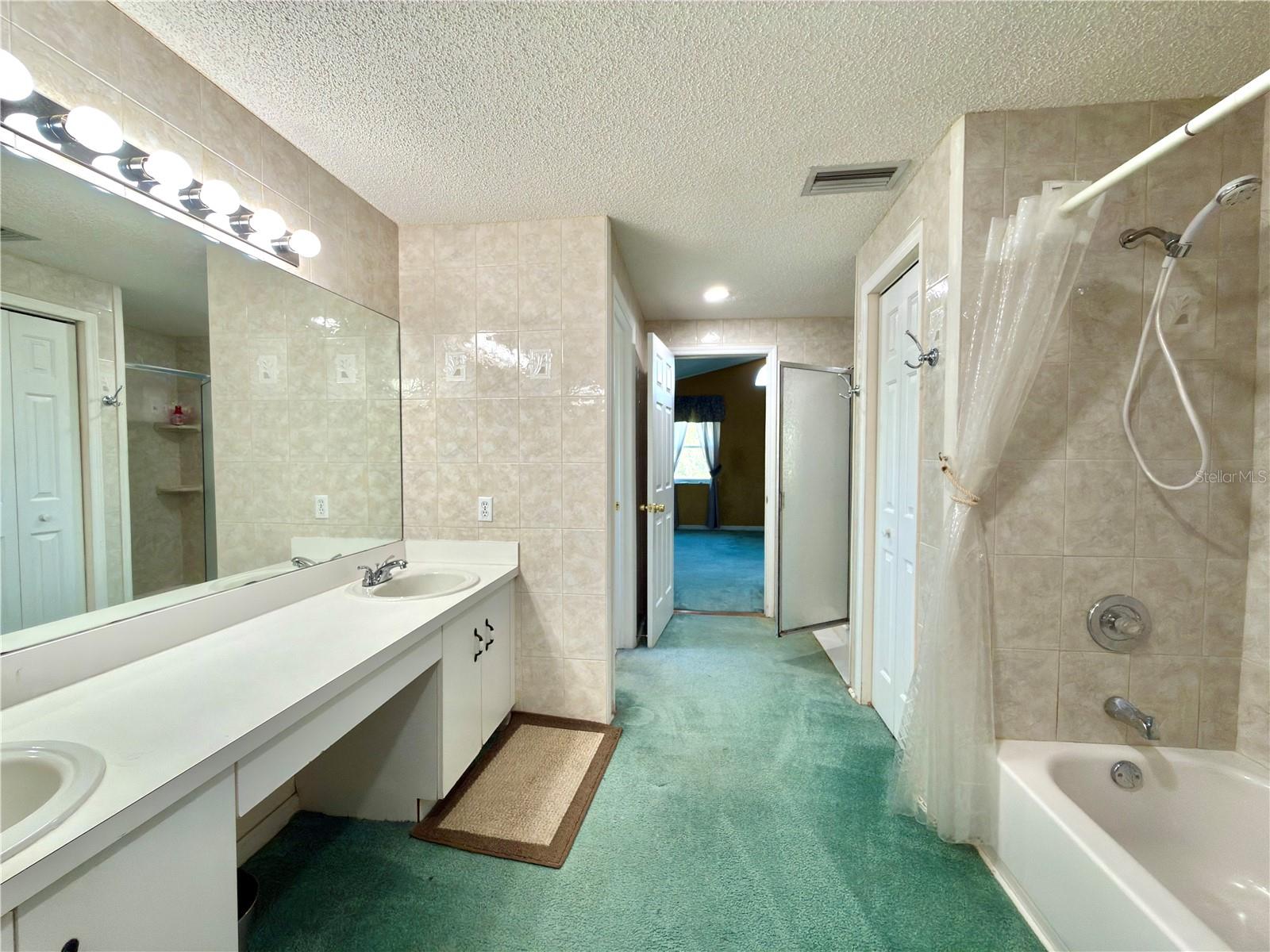 Master bath- dual sink and bath