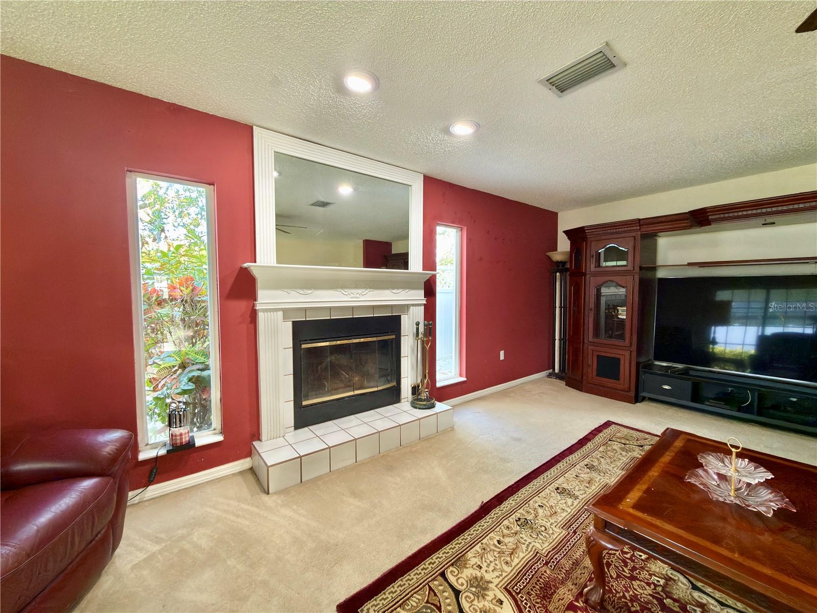 Wood burning Fireplace