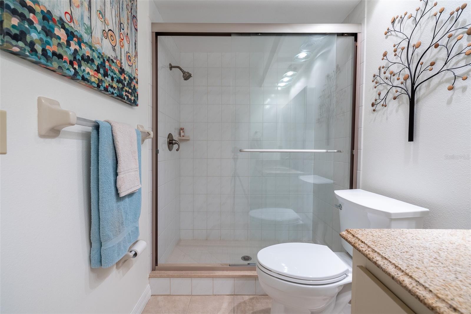 Large shower converted from a tub, granite countertops, tile
