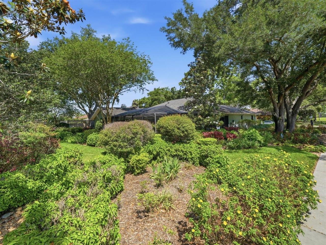 Backyard garden