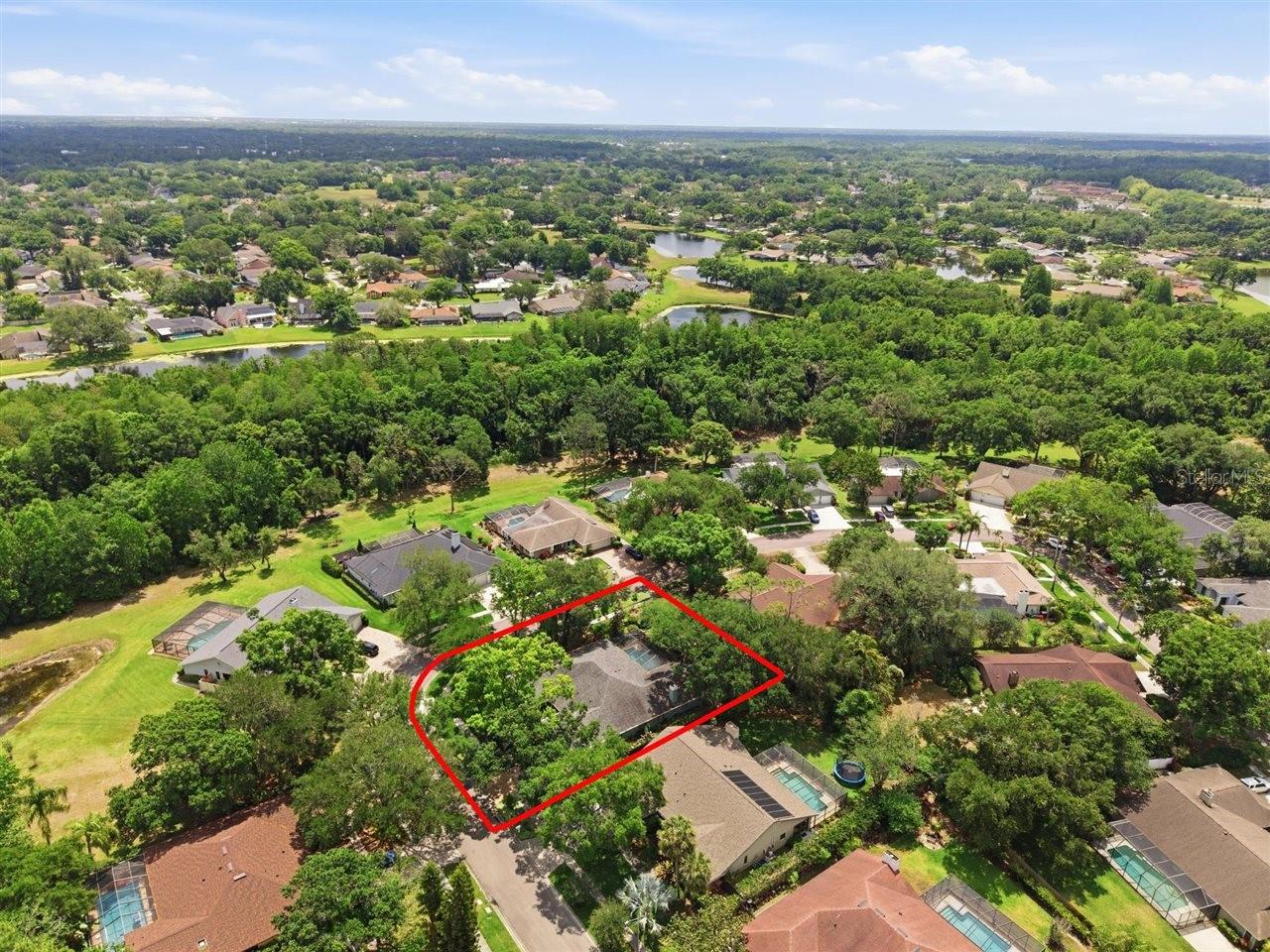East view towards conservation/Brushy Creek