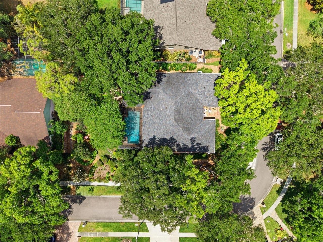 Overhead view