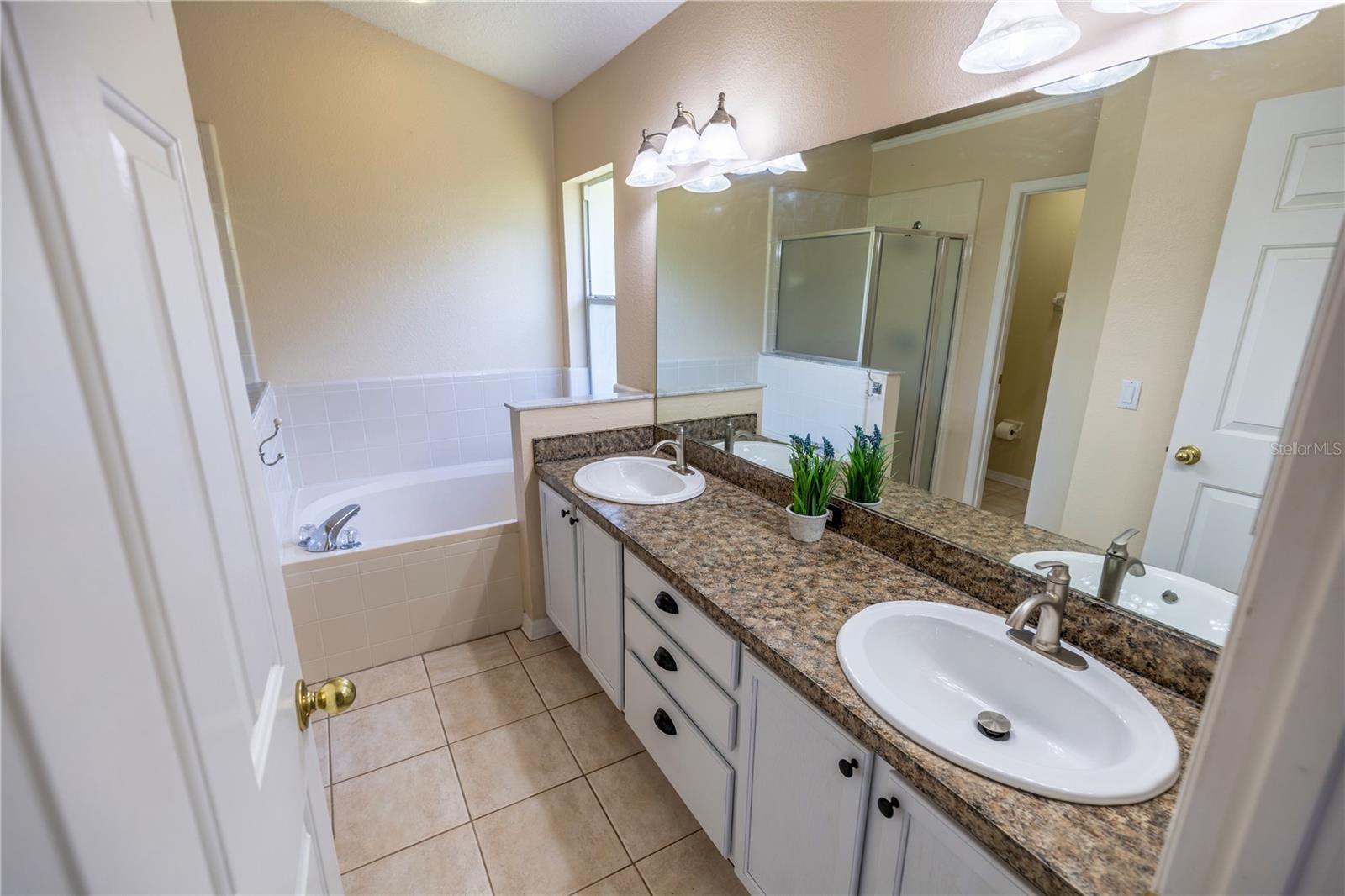 Primary bathroom with dual sinks