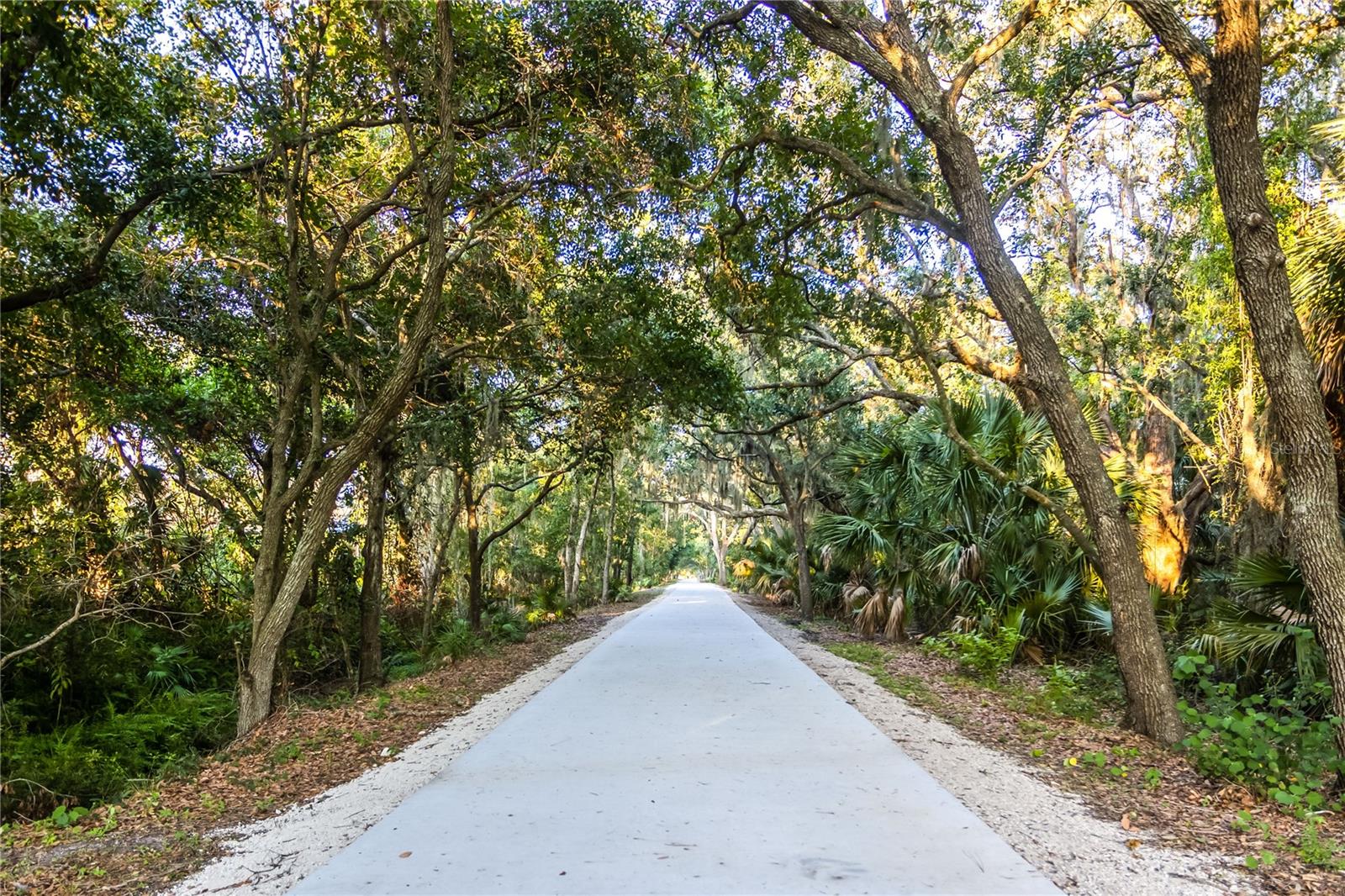 Paved walking trail around the lake and through the community