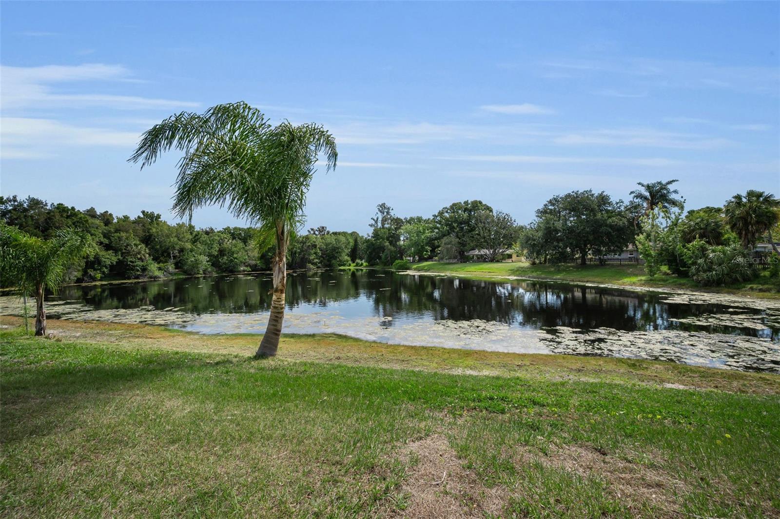 WELCOME TO YOUR LAKEFRONT HOME ON LAKE TERRACE!