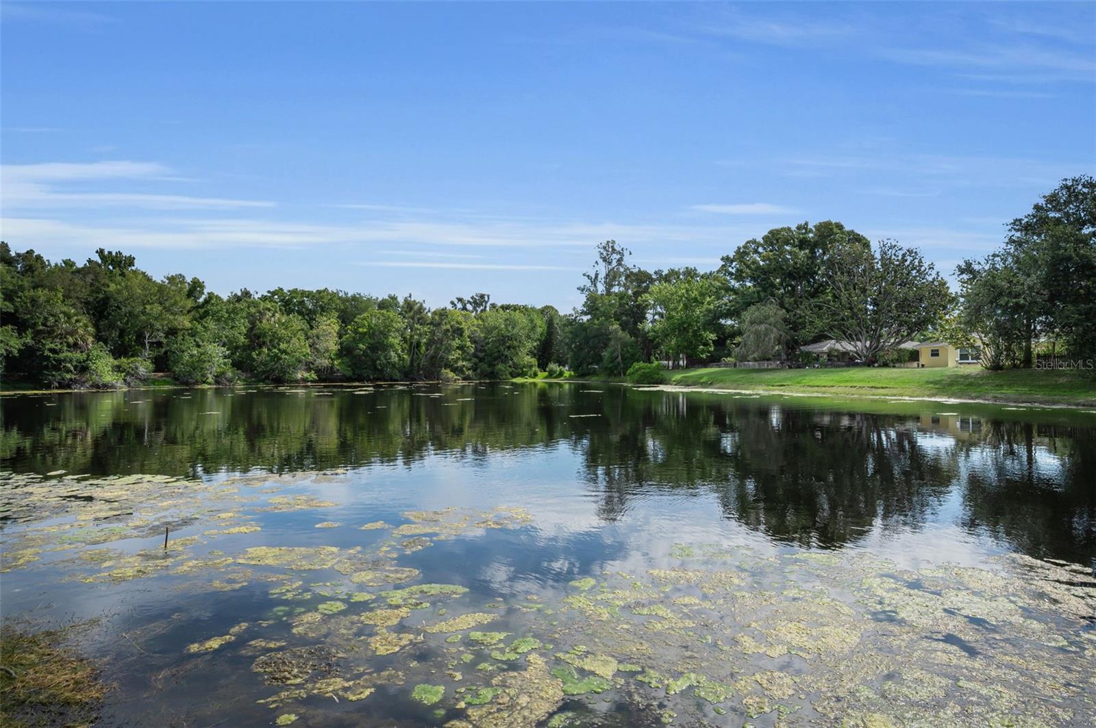 WELCOME TO YOUR LAKEFRONT HOME ON LAKE TERRACE!