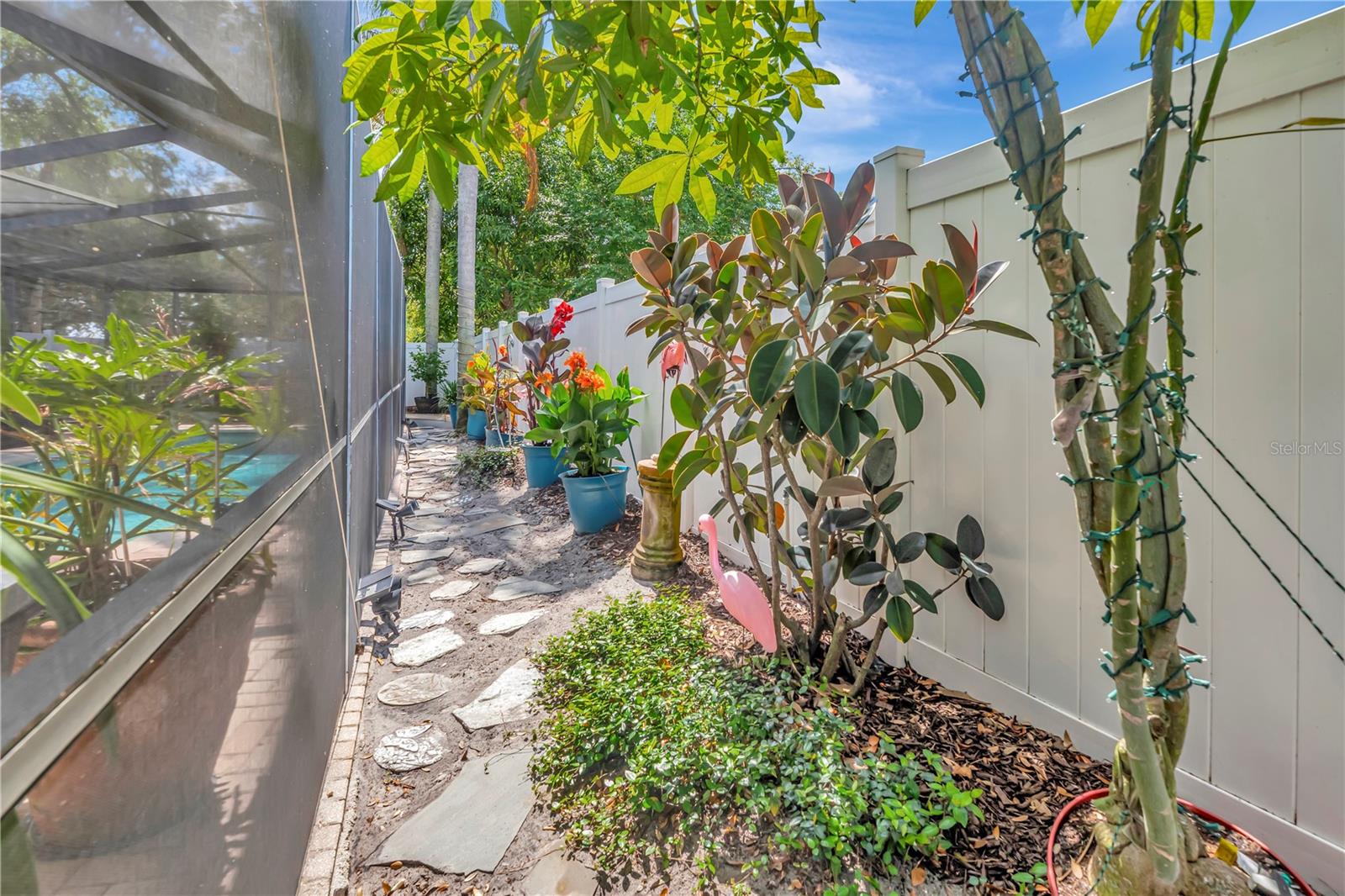 Backyard