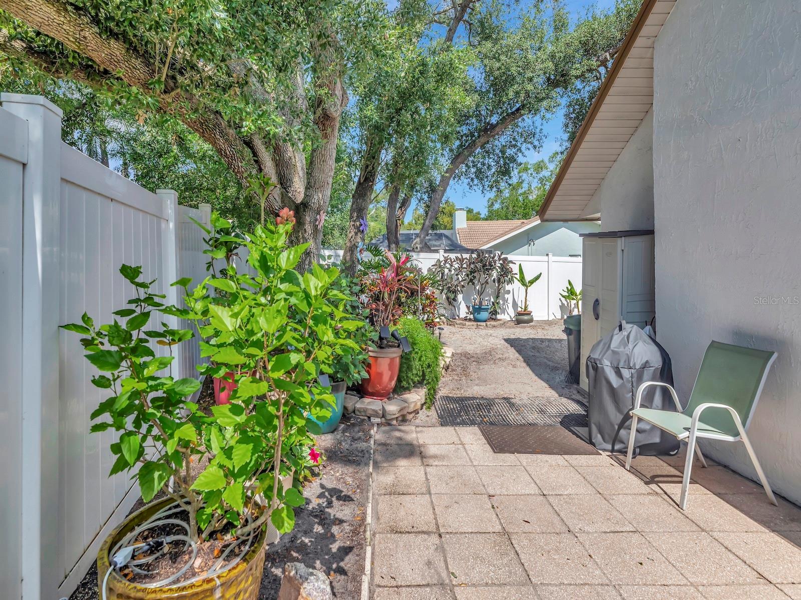 Backyard