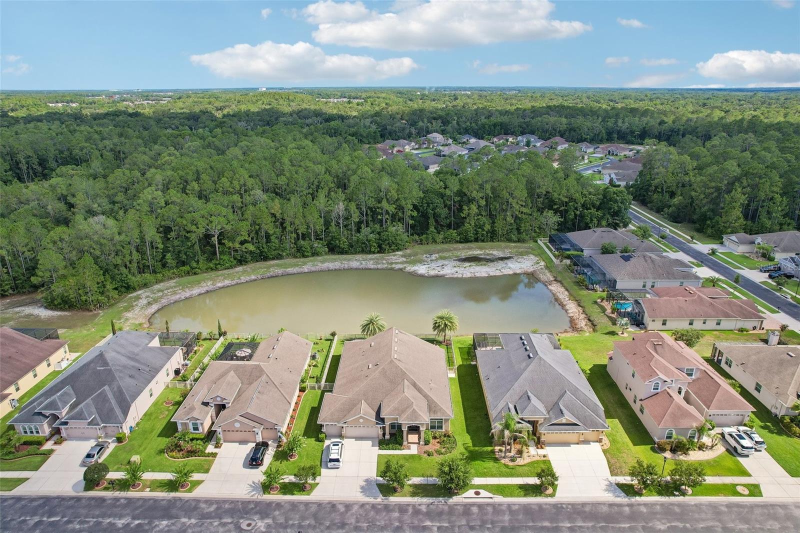 Pond and conservation Pond and conservation views with no rear neighbors