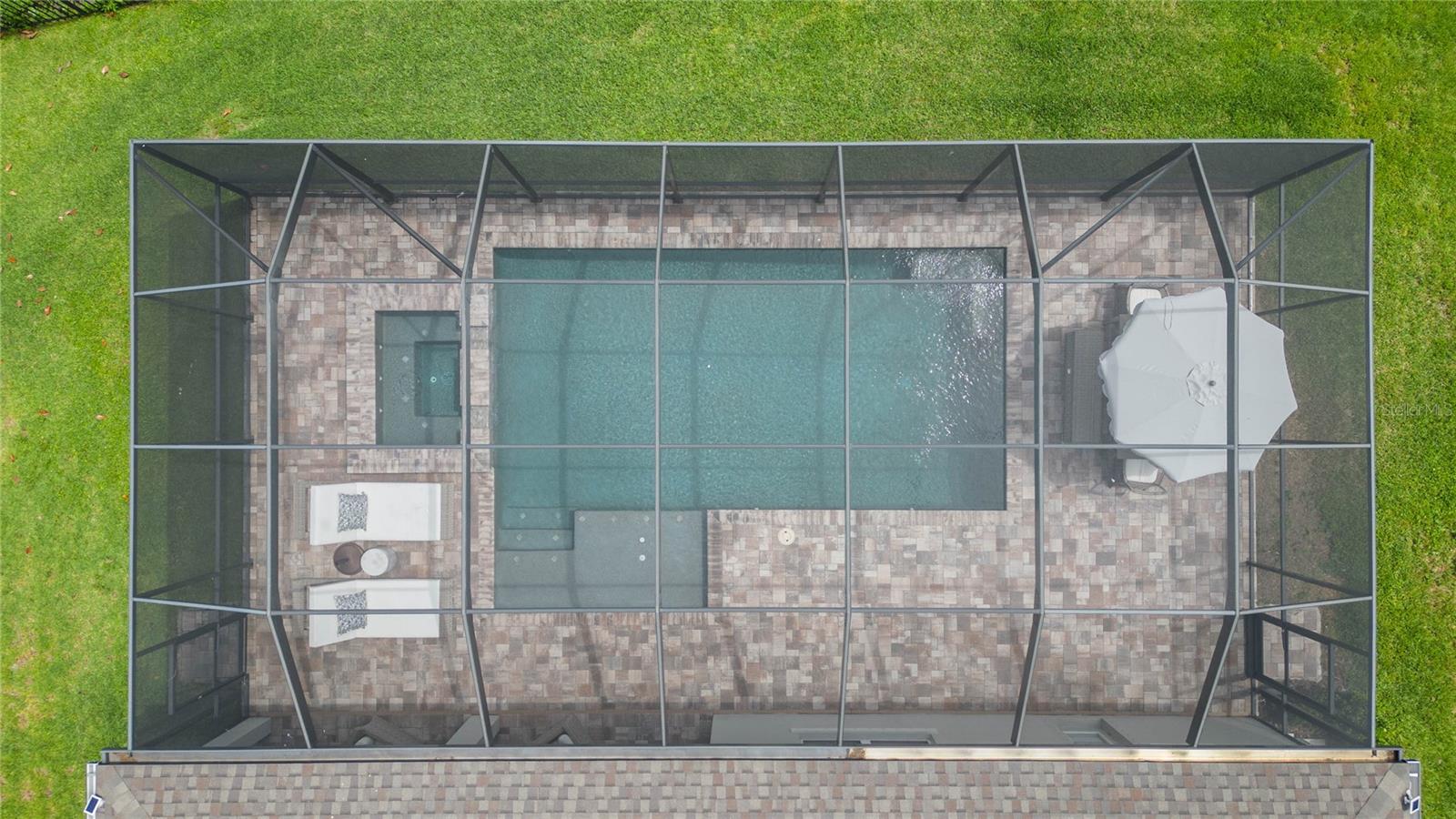 Pool & Birdcage