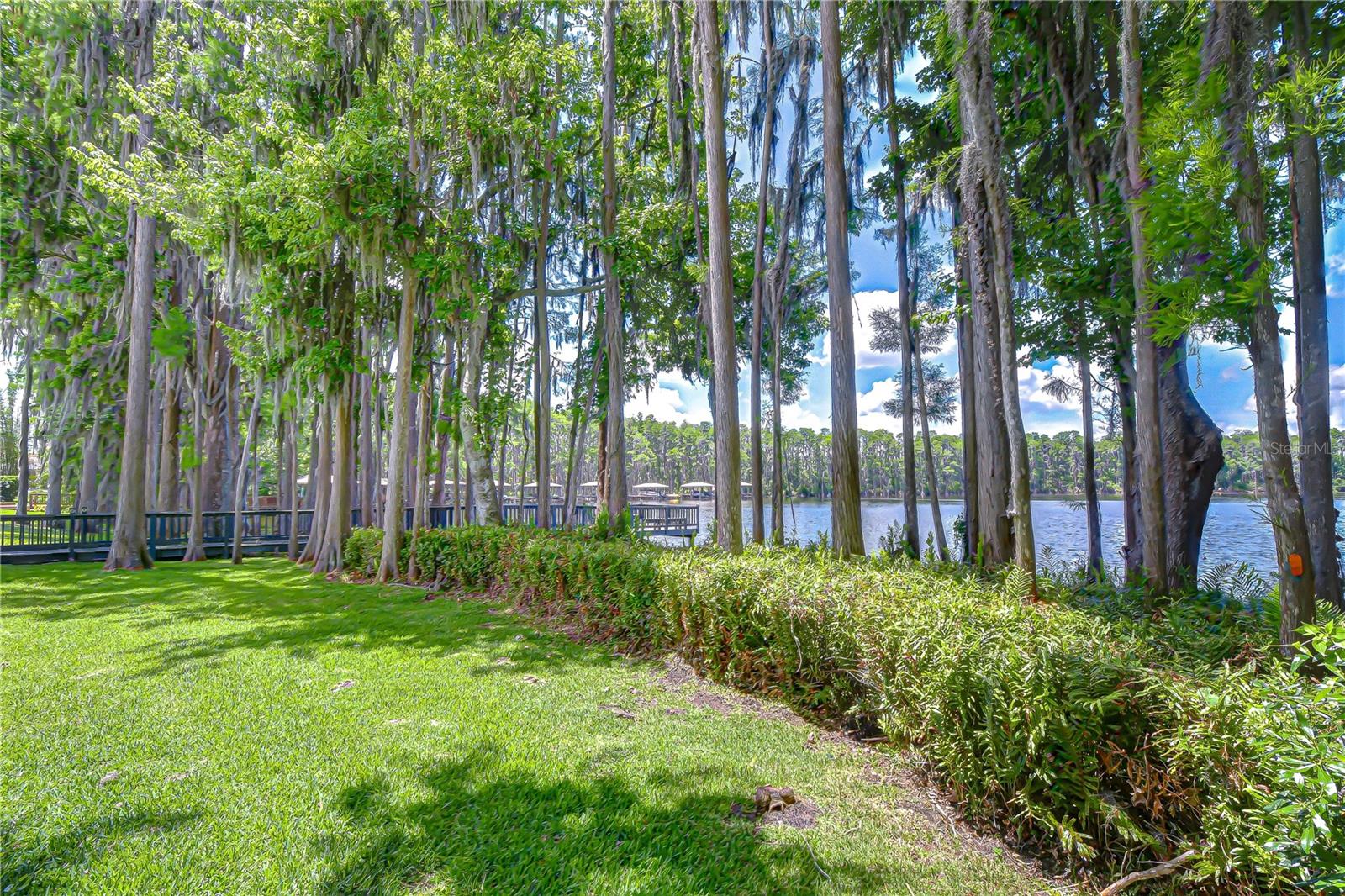 Backyard View to Lake
