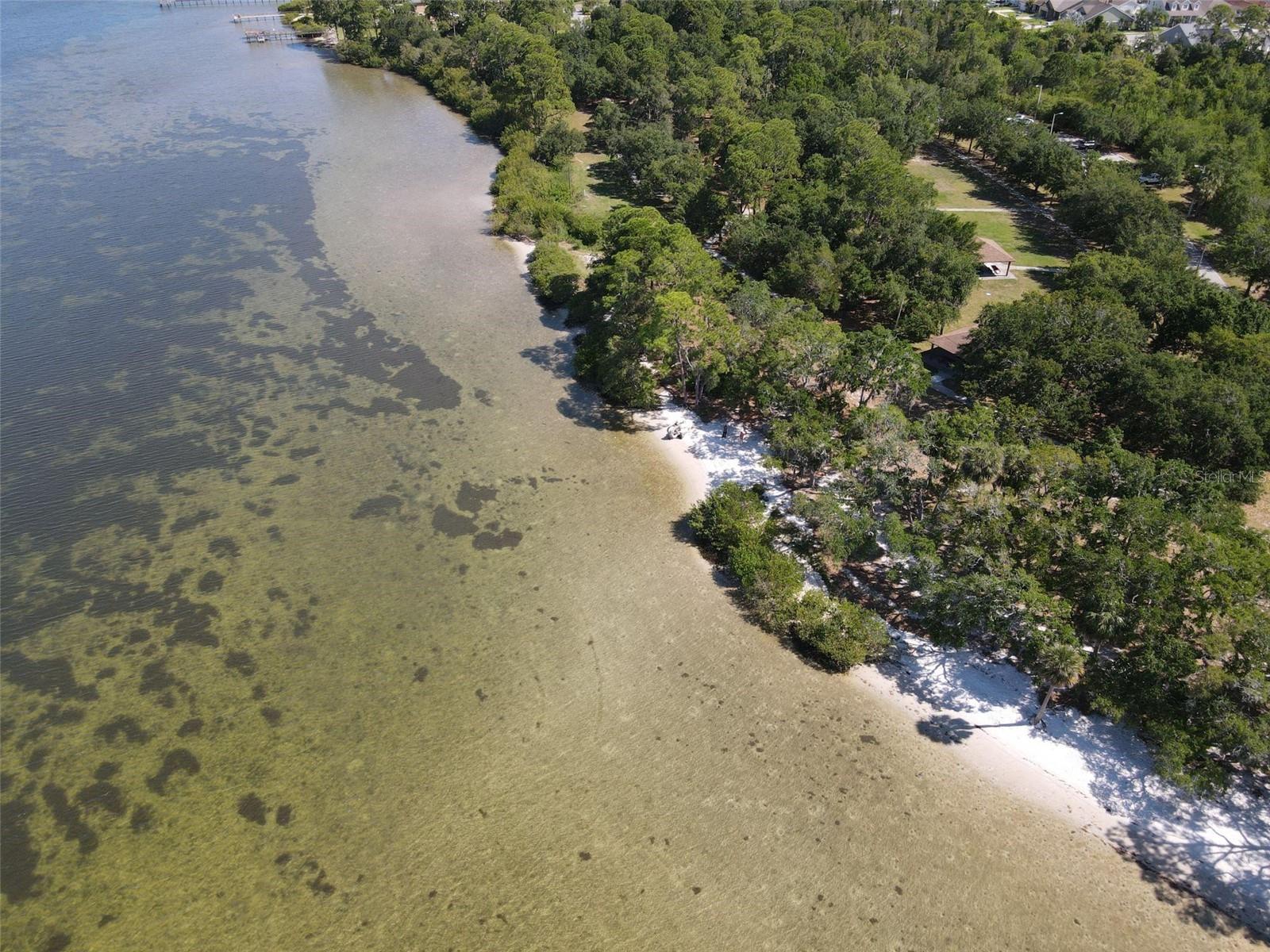 Tampa Bay Oldsmar Beach