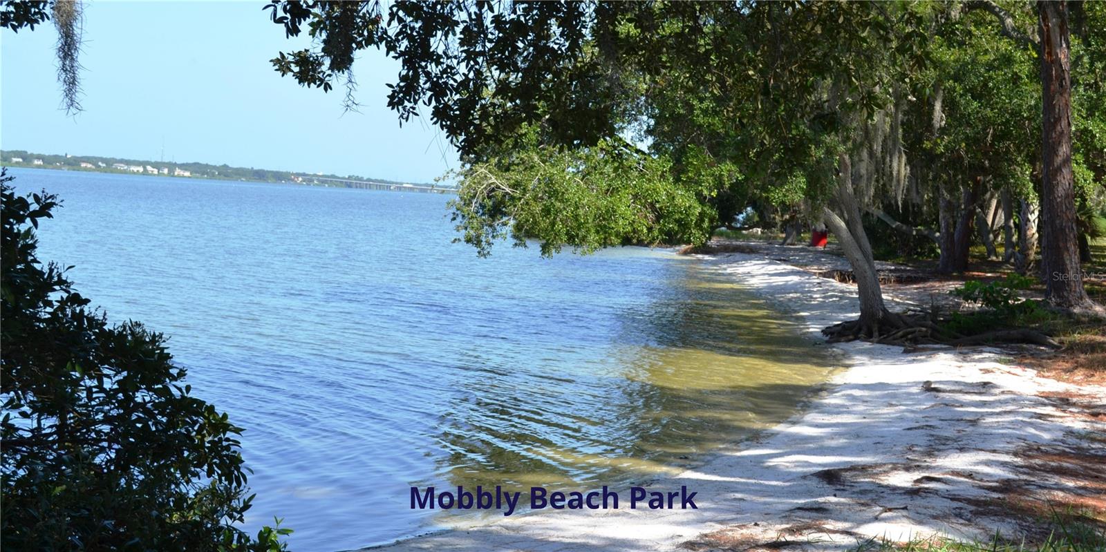 Tampa Bay Oldsmar Beach