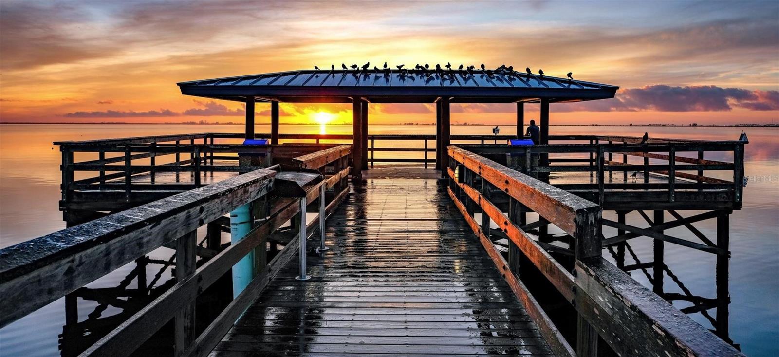 Sunset Oldsmar Park