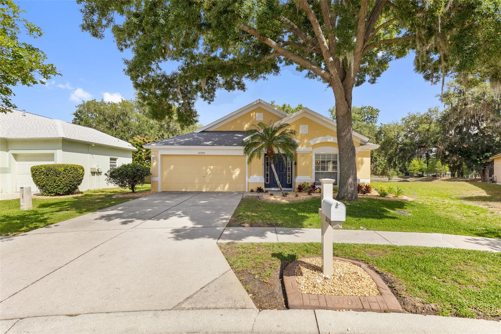 Driveway view