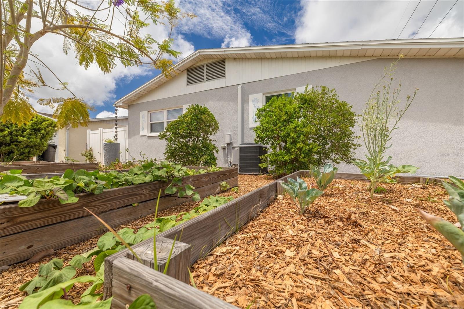 Raised Garden Beds