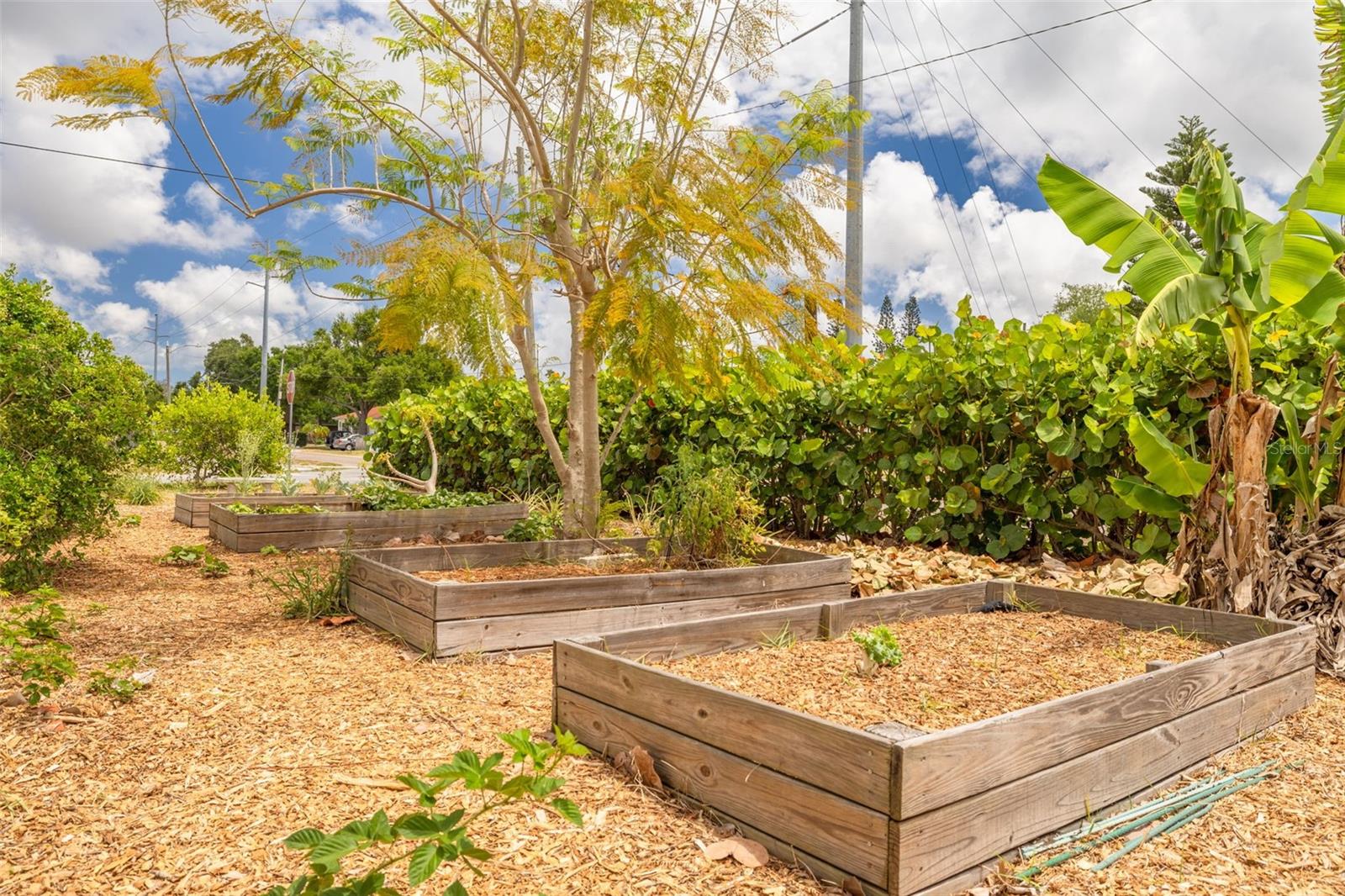 Bring your green thumb!
