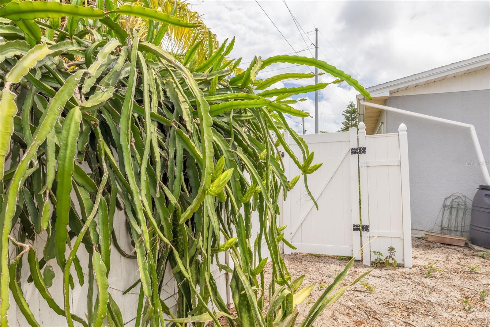 Fully fenced yard