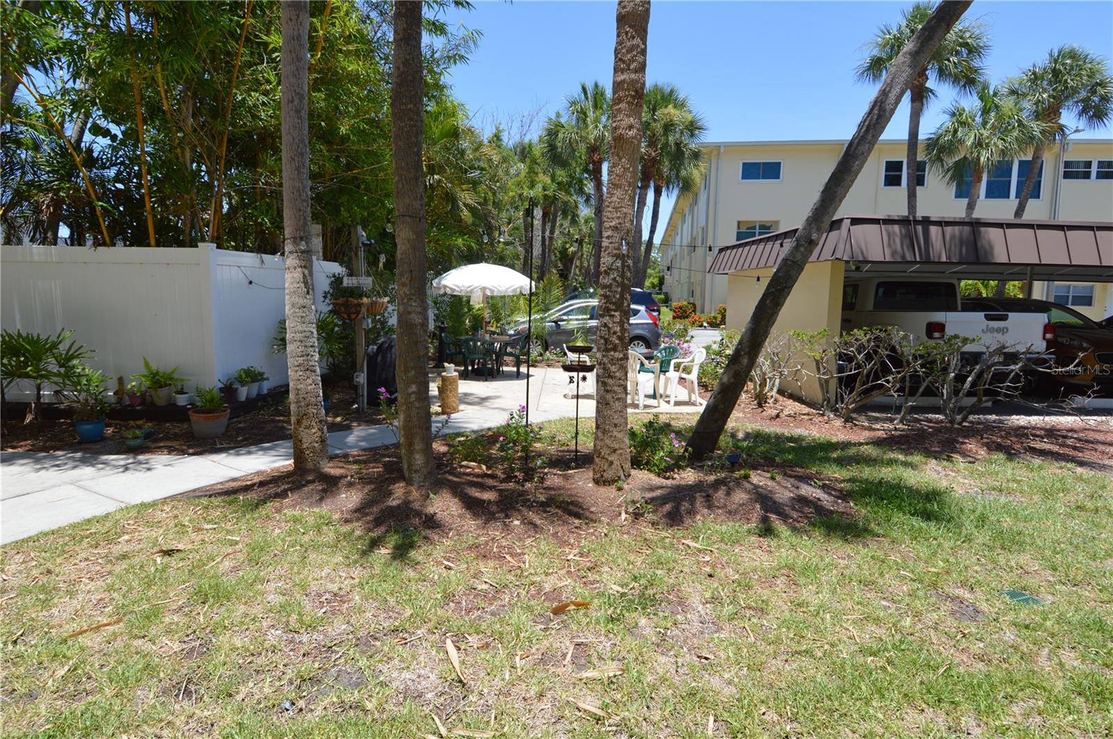 Backyard